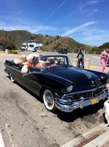 FullSizeRender (844) - Copy