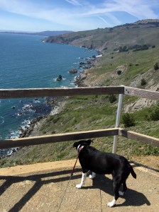 FullSizeRender (845) - Copy