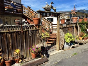 FullSizeRender (849) - Copy