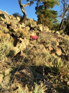 FullSizeRender - Copy (101)