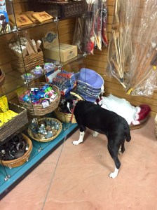 FullSizeRender - Copy (108)