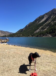 FullSizeRender - Copy (115)