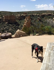 FullSizeRender - Copy (135)