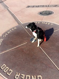 FullSizeRender - Copy (139)