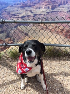 FullSizeRender - Copy (143)