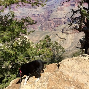 FullSizeRender - Copy (149)