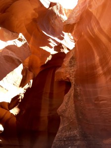 FullSizeRender - Copy (163)