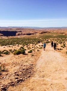 FullSizeRender - Copy (164)