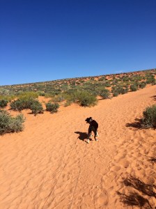 FullSizeRender - Copy (165)