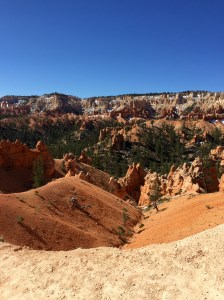 FullSizeRender - Copy (177)