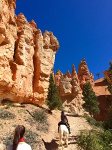 FullSizeRender - Copy (180)