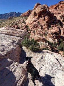 FullSizeRender - Copy (183)