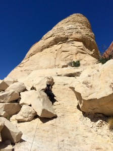 FullSizeRender - Copy (185)