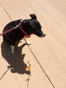 FullSizeRender - Copy (193)