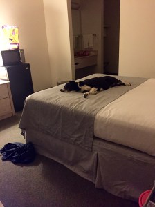 FullSizeRender - Copy (196)