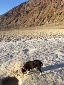 FullSizeRender - Copy (215)