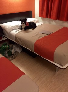 FullSizeRender - Copy (227)