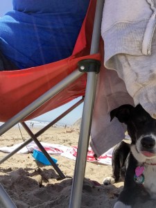 FullSizeRender - Copy (228)