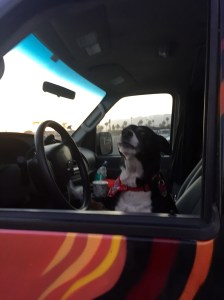 FullSizeRender - Copy (231)