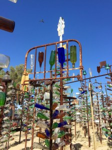 FullSizeRender - Copy (232)