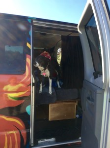 FullSizeRender - Copy (233)