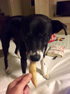 FullSizeRender - Copy (235)