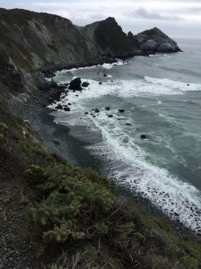 FullSizeRender - Copy (238)