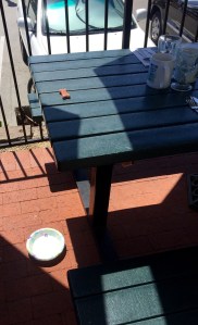 FullSizeRender - Copy (242)