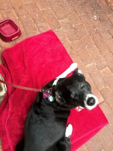 FullSizeRender - Copy (243)