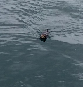 FullSizeRender - Copy (254)