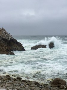 FullSizeRender - Copy (259)