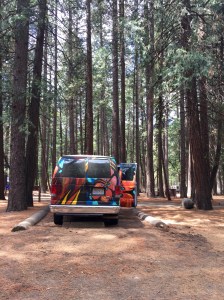 FullSizeRender - Copy (264)