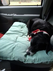 FullSizeRender - Copy (266)