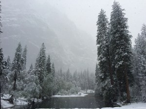 FullSizeRender - Copy (276)