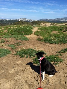 FullSizeRender - Copy (280)