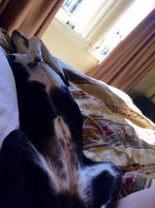 FullSizeRender - Copy (287)