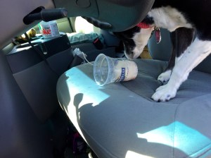 FullSizeRender - Copy (290)