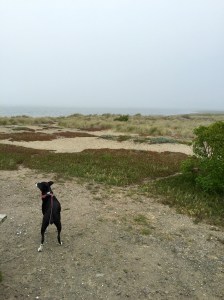 FullSizeRender - Copy (293)