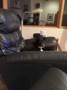 FullSizeRender - Copy (93)