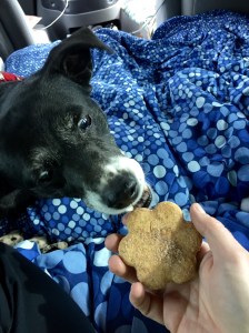 FullSizeRender - Copy (97)