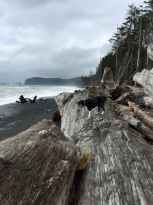 FullSizeRender (1000) - Copy