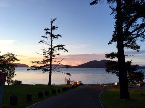 FullSizeRender (1004) - Copy