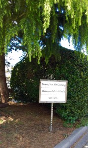 FullSizeRender (1007) - Copy