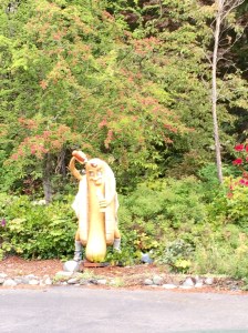 FullSizeRender (1008) - Copy