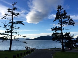 FullSizeRender (1009) - Copy