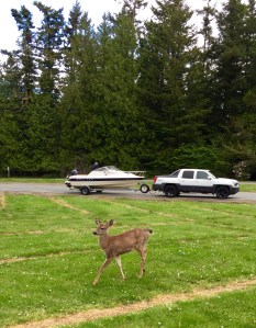 FullSizeRender (1011) - Copy