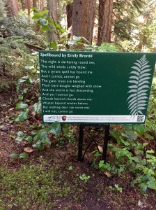 FullSizeRender (1014) - Copy