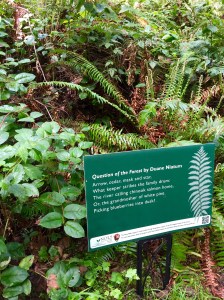 FullSizeRender (1017) - Copy