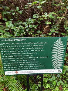 FullSizeRender (1018) - Copy