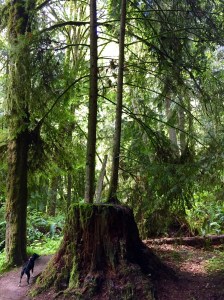 FullSizeRender (1019) - Copy